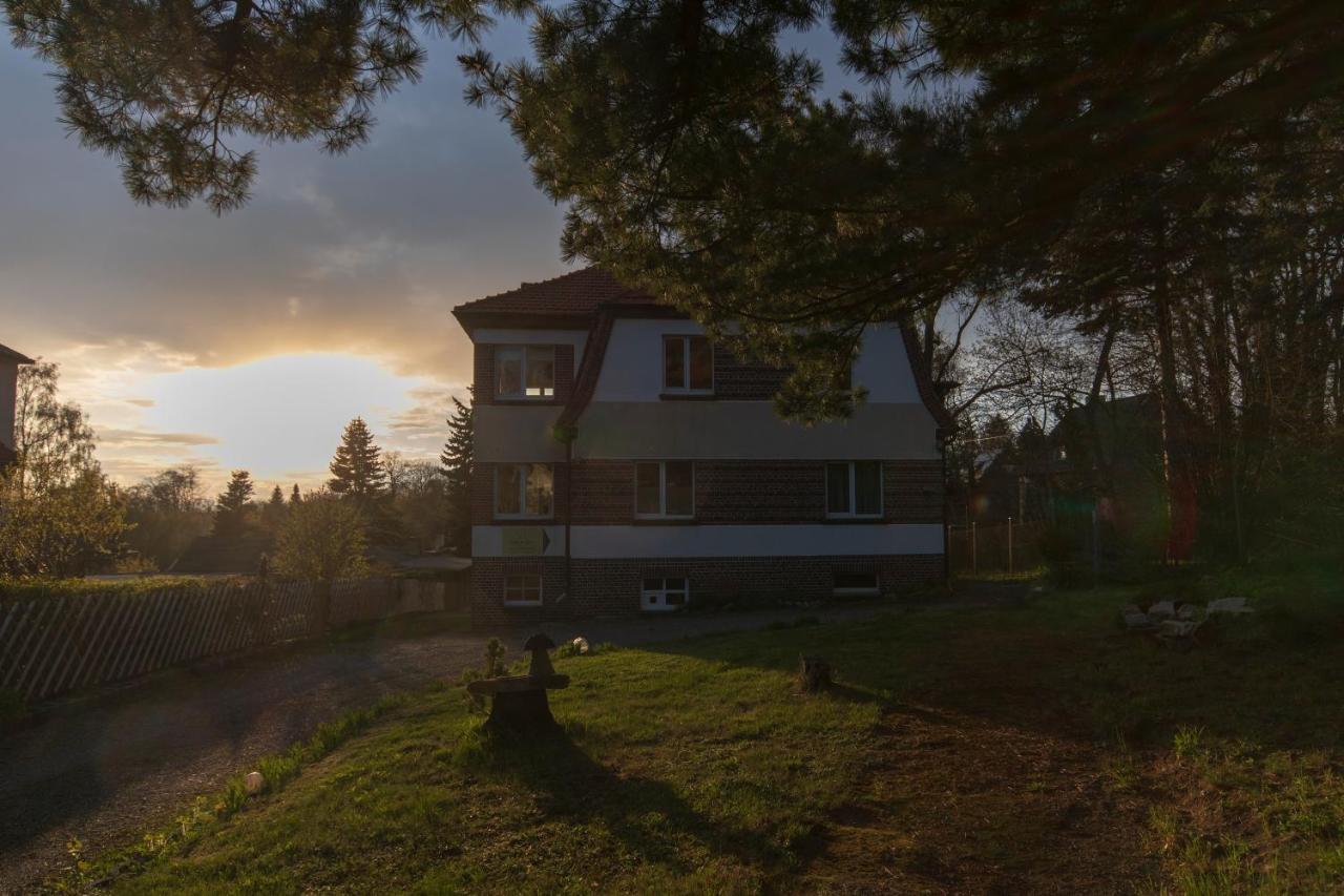 Ferienhaus Natur Pur Apartment ทาเลอ ภายนอก รูปภาพ